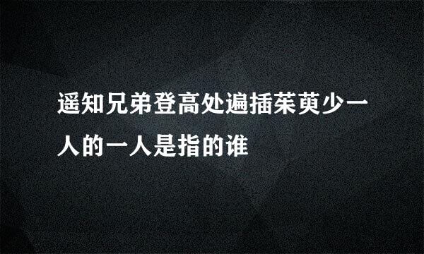 遥知兄弟登高处遍插茱萸少一人的一人是指的谁