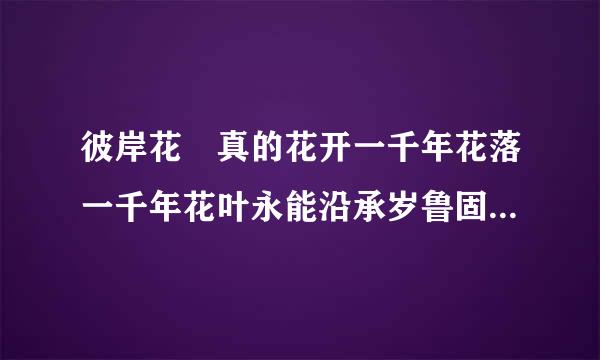 彼岸花 真的花开一千年花落一千年花叶永能沿承岁鲁固士风缺功煤不相见吗？有什么传说