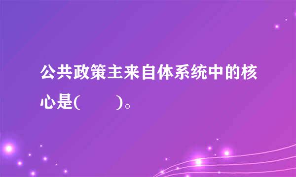 公共政策主来自体系统中的核心是(  )。