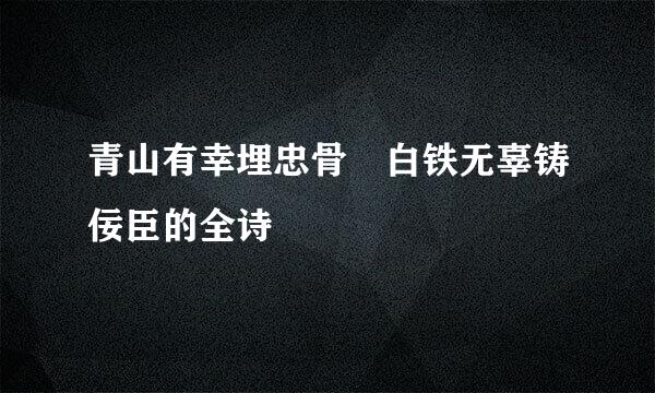 青山有幸埋忠骨 白铁无辜铸佞臣的全诗