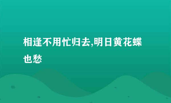 相逢不用忙归去,明日黄花蝶也愁