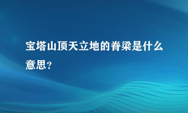 宝塔山顶天立地的脊梁是什么意思？