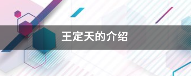 王定天的介绍