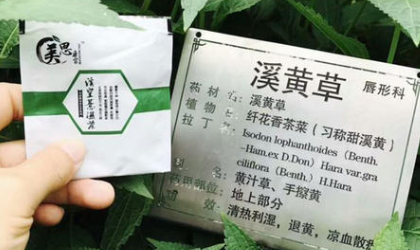 美思康宸溪皇薏湿茶禁忌是什么？