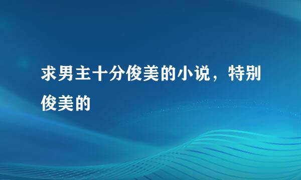 求男主十分俊美的小说，特别俊美的