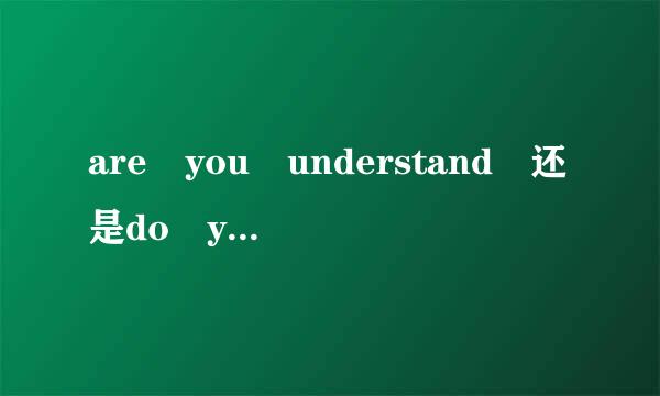 are you understand 还是do you understand ？