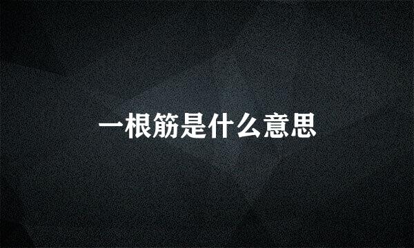 一根筋是什么意思