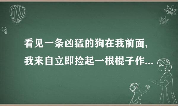 看见一条凶猛的狗在我前面,我来自立即捡起一根棍子作为防备.英语翻译中有d360问答efence