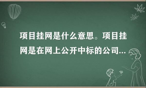 项目挂网是什么意思。项目挂网是在网上公开中标的公司吗？还是意思是挂在网上告诉人家公开招标？