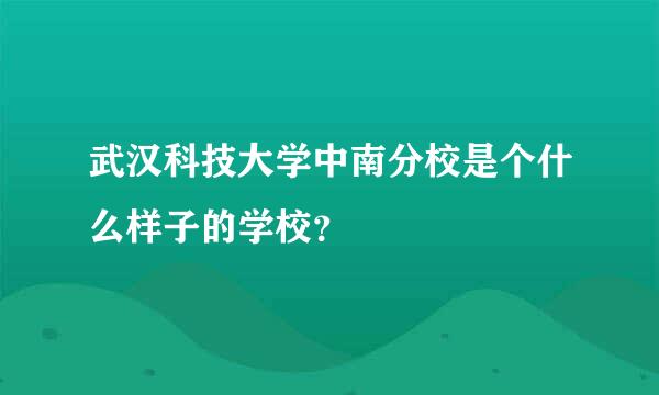 武汉科技大学中南分校是个什么样子的学校？