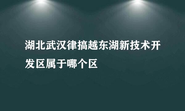 湖北武汉律搞越东湖新技术开发区属于哪个区