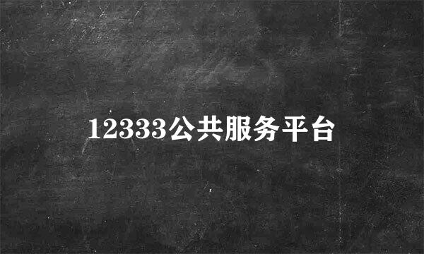 12333公共服务平台