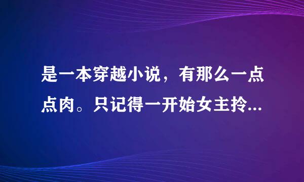 是一本穿越小说，有那么一点点肉。只记得一开始女主拎着东西走在路上 ，好像是有闪电吧，然后就穿越了。