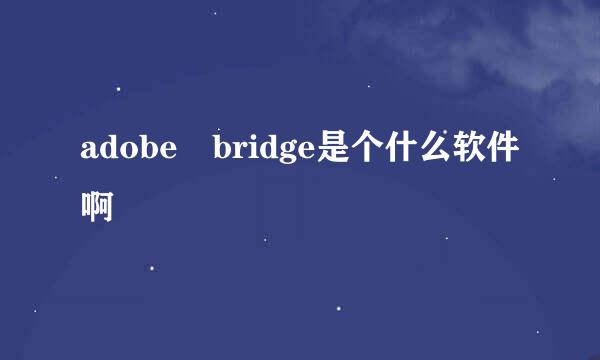 adobe bridge是个什么软件啊