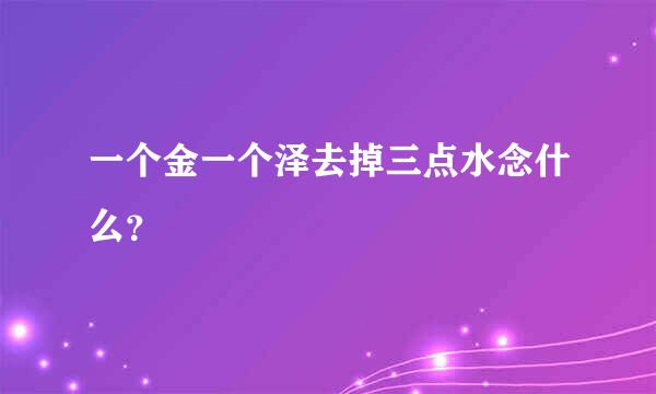 一个金一个泽去掉三点水念什么？