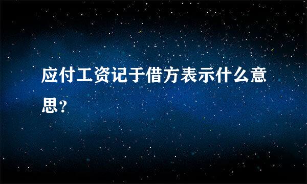 应付工资记于借方表示什么意思？