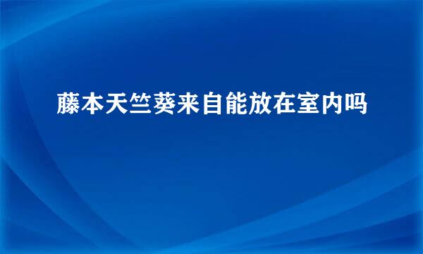 藤本天竺葵来自能放在室内吗