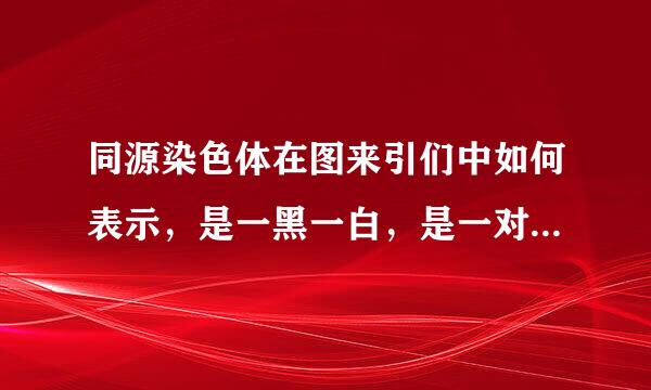 同源染色体在图来引们中如何表示，是一黑一白，是一对、还是怎样的，在图中一般用同种颜色表示，还是不同种颜色