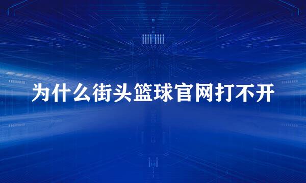 为什么街头篮球官网打不开