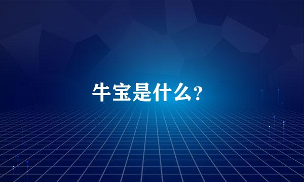 牛宝是什么？