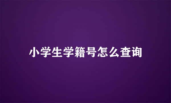 小学生学籍号怎么查询