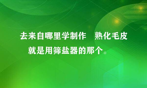 去来自哪里学制作 熟化毛皮 就是用筛盐器的那个。