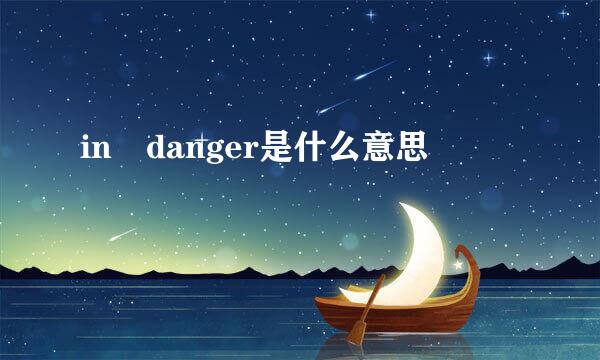 in danger是什么意思