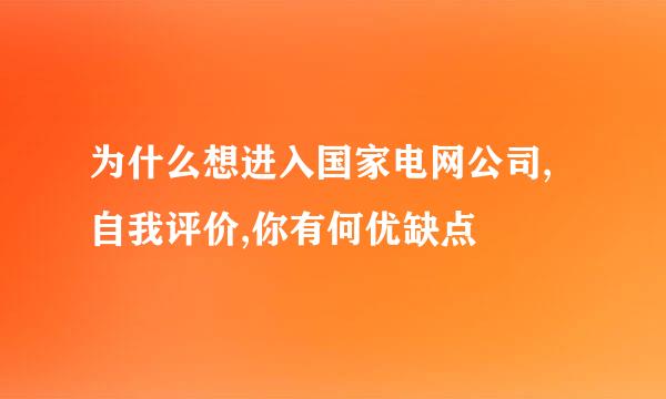 为什么想进入国家电网公司,自我评价,你有何优缺点