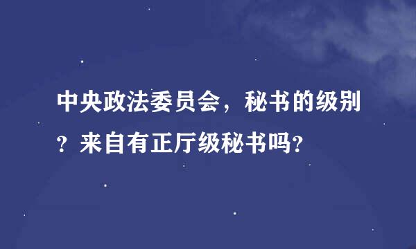 中央政法委员会，秘书的级别？来自有正厅级秘书吗？