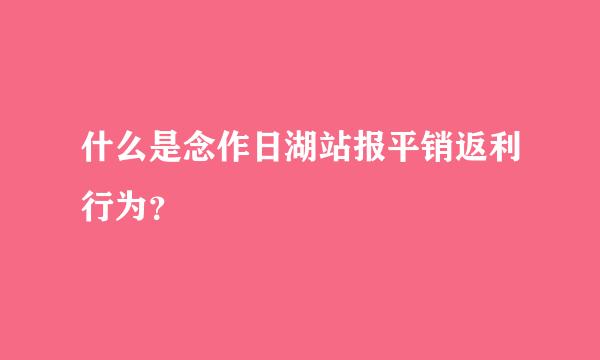 什么是念作日湖站报平销返利行为？