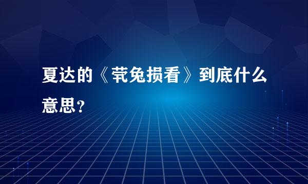 夏达的《茕兔损看》到底什么意思？