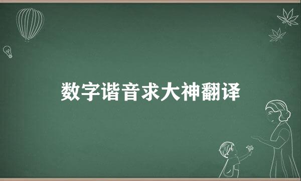 数字谐音求大神翻译