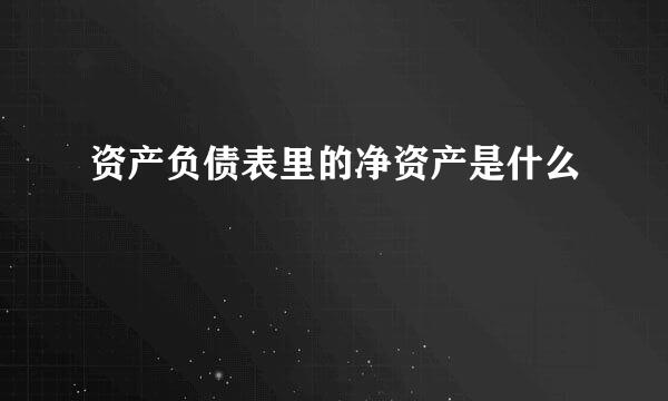 资产负债表里的净资产是什么