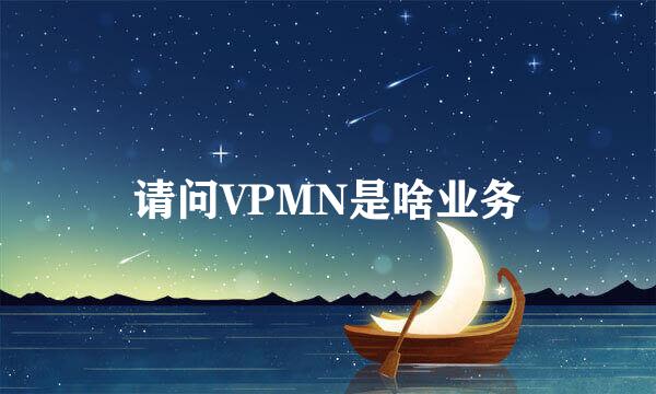 请问VPMN是啥业务