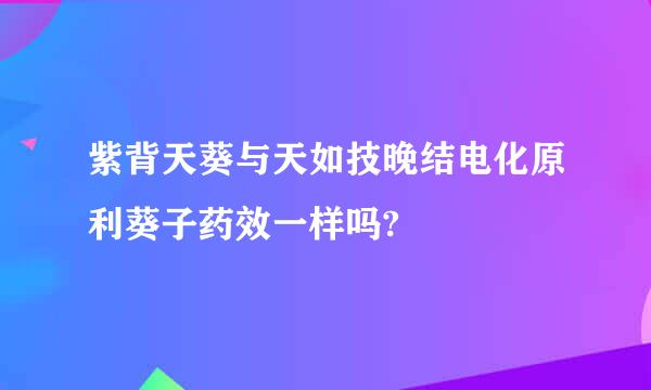 紫背天葵与天如技晚结电化原利葵子药效一样吗?