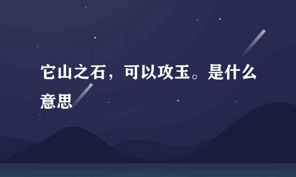 它山之石，可以攻玉。是什么意思