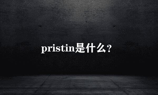 pristin是什么？