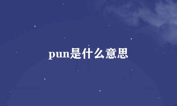 pun是什么意思