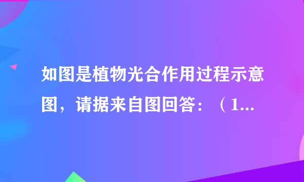 如图是植物光合作用过程示意图，请据来自图回答：（1）由图中箭头所示的方向可知：水和二氧化碳进入叶片作为光合作用的原料，其中______是通过导管运输来的，二氧化碳是通过呼吸作用从空气中吸收来的．淀粉和氧气是光合作用的产物，其中氧气从叶片散出进入空气．（2）图中②教从直预了解假二的露神表示的物质是______，④表示的物质是_