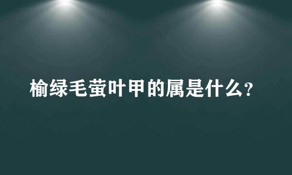 榆绿毛萤叶甲的属是什么？