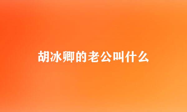 胡冰卿的老公叫什么