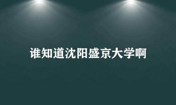 谁知道沈阳盛京大学啊