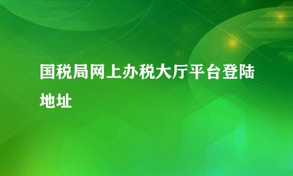 国税局网上办税大厅平台登陆地址