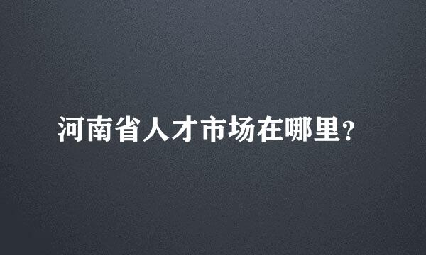 河南省人才市场在哪里？