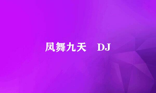 凤舞九天 DJ