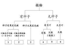 生物中考试题