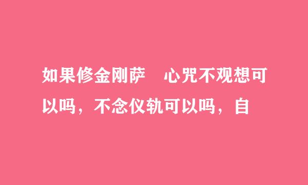 如果修金刚萨埵心咒不观想可以吗，不念仪轨可以吗，自