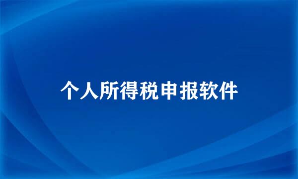 个人所得税申报软件