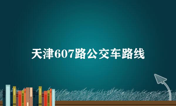 天津607路公交车路线