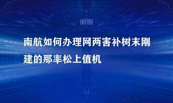 南航如何办理网两害补树末刚建的那率松上值机